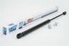 FINWHALE 120323 Gas Spring, boot-/cargo area